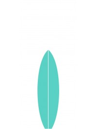 Shortboards (2)